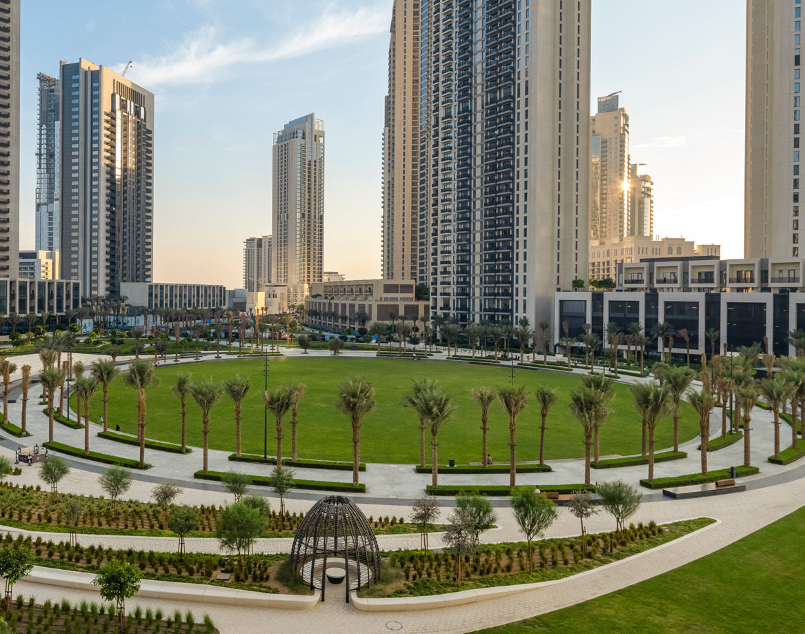 Creek Beach Savanna Cedar Mangrove by Premier Heights Real Estates in Dubai 